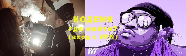 дурь Лабытнанги