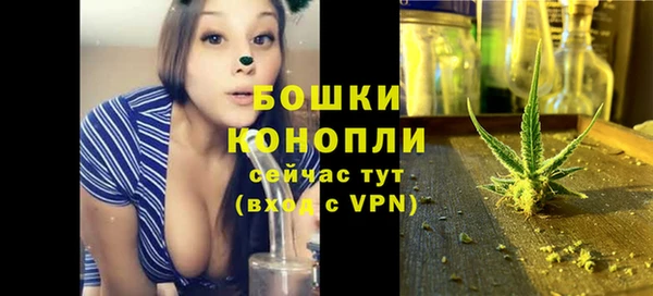 дурь Лабытнанги