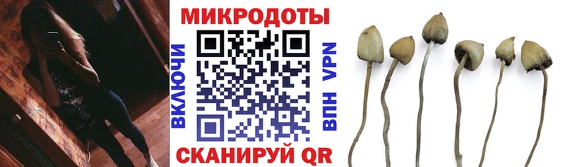 Псилоцибиновые грибы Psilocybine cubensis  Лысьва 