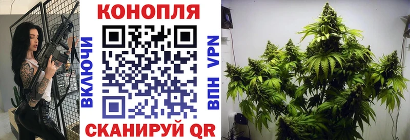 Бошки марихуана SATIVA & INDICA  Лысьва 
